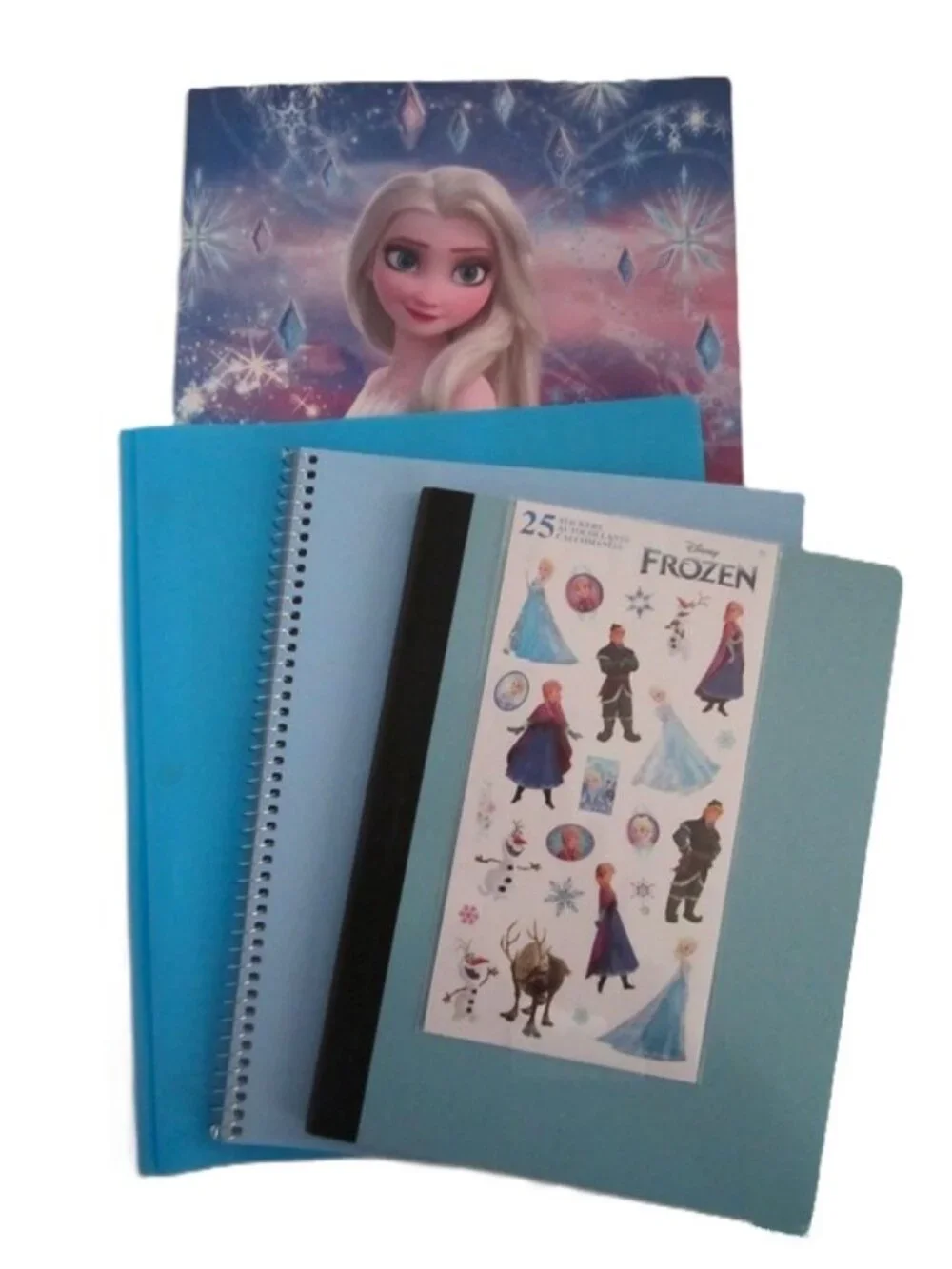 Disney Frozen Backpack, Water Bottle, Lunch Bag & School Supplies Elsa NEW